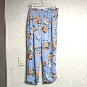 J Crew women blue pants size 16